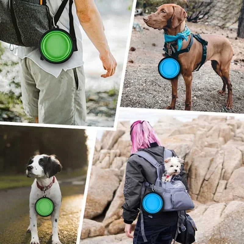 Collapsible Silicone Pet Travel Bowl